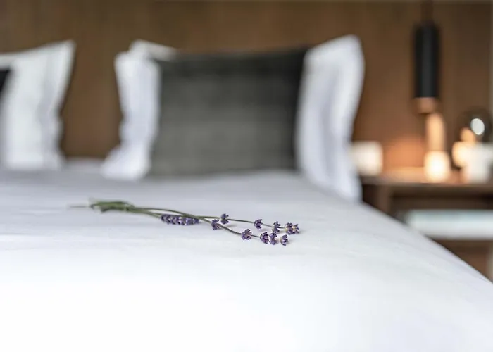 Maison De La Bonne Vie Therondels