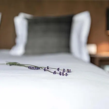 Maison De La Bonne Vie Therondels