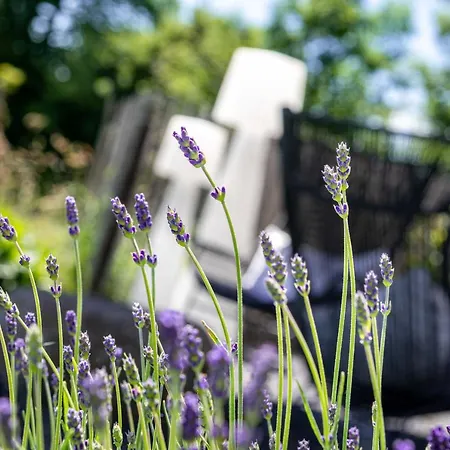 Maison De La Bonne Vie Therondels