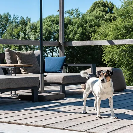 Bed and Breakfast Maison De La Bonne Vie Therondels